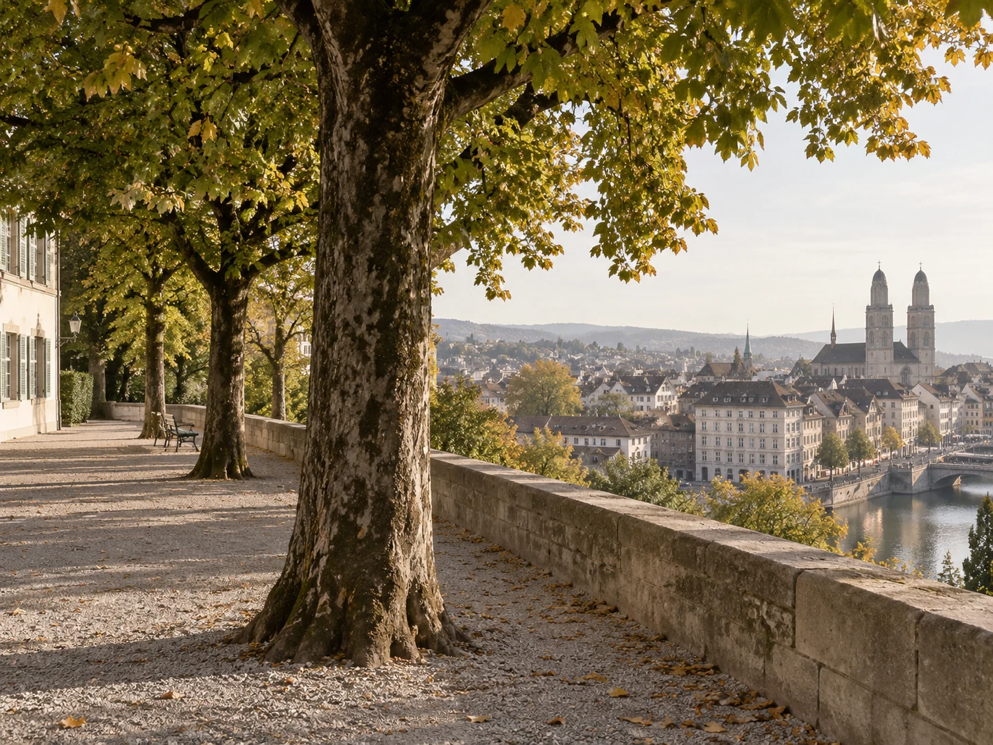 Mature lime trees and a sandstone parapet overlooking the old town